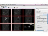 GIMIAS on Mac OS X