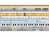 Transcribe! on Linux